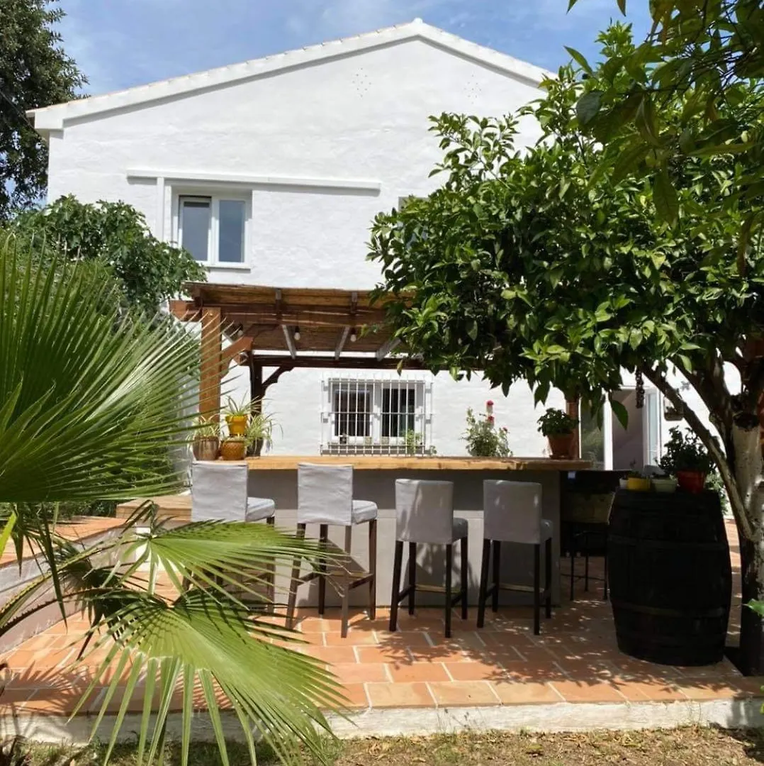 Casa Luna Толокос